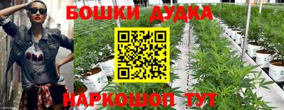 марки lsd Будённовск