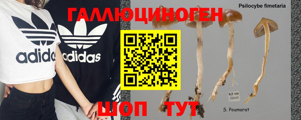 Псилоцибиновые грибы GOLDEN TEACHER Саранск