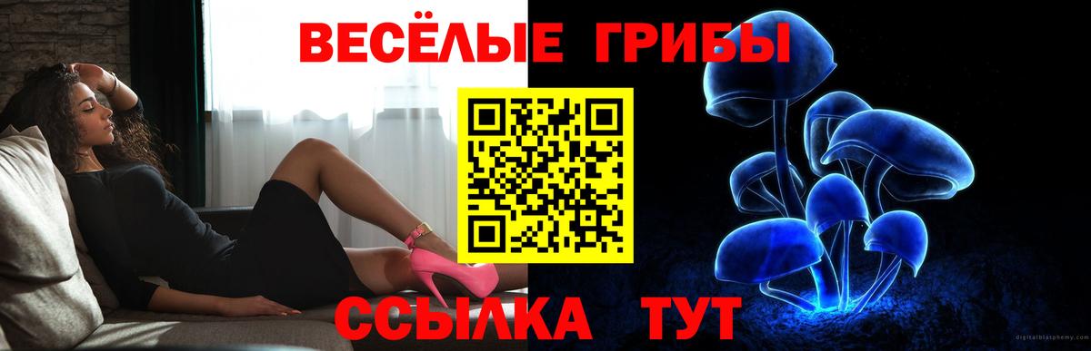 Галлюциногенные грибы GOLDEN TEACHER  Вход с VPN  Саранск 